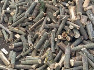 Дрова твердых пород(недорого).