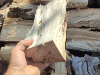 Дрова колотые (Тополь)