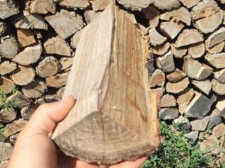 Дрова твердых пород (Акация)