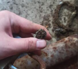 Медный силовой кабель, в чёрной изоляции