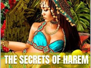The Secrets of Harem – Vol. 2 - Author Iulia Jilinschi