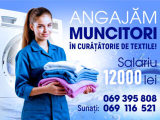 Angajam personal in spalatoria de textile