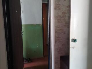 1 к к Лески 4/5 24/13/5, /маг. Океан/МПО, г/кол., балк/заст, МПО чисто