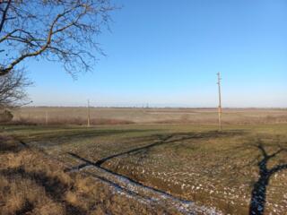 Teren 12 ha, langa municipiu, pentru parc fotovoltaic