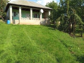 URGENT! Scoreni, Straseni, casută batrineasca, dar buna de trai