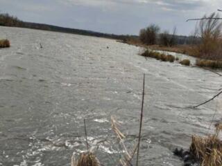 продаж ділянка під житлову забудову Білоцерківський, Рокитне, 7500 $
