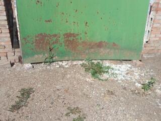 Продам лист металла