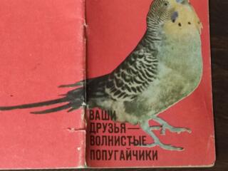 Волнистые попугаи, руководство по содержанию и разведению