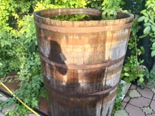 Када / бочка / кадка для вина