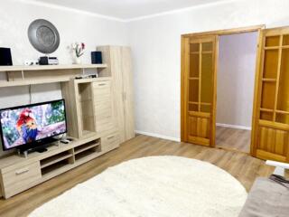 Сдам большую 1 комн квартиру в Центре, Лагуна