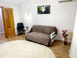 Сдам большую 1 комн квартиру в Центре, Лагуна