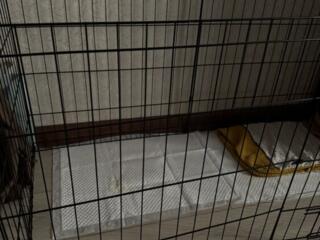 Вольер для собак не крупных пород и щенков