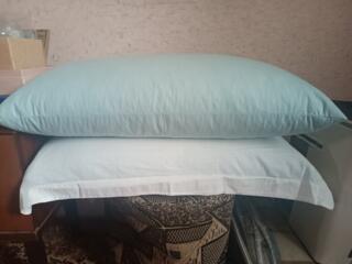 Подушки перьевые