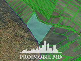 ​ Spre vânzare se oferă teren agricol situat în Ialoveni, satul ...