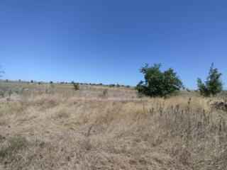 В продаже участок правильной формы под застройку жилого дома. Участок 