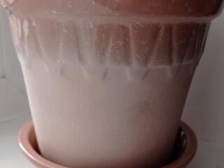 Вазон горшок для цветов керамика