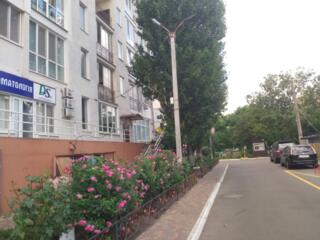 Сдам помещение-Н/Ф - 82 м -- Королева / ж. к. Тирас