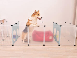 Манеж для домашних животных