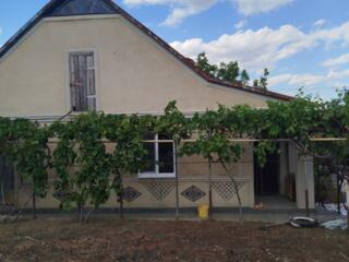 Светлана. Продаётся просторный дом, в тихом месте. с. Протягайловка. 