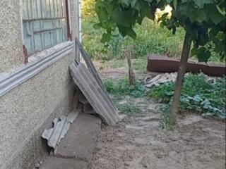 Предлагаю работу