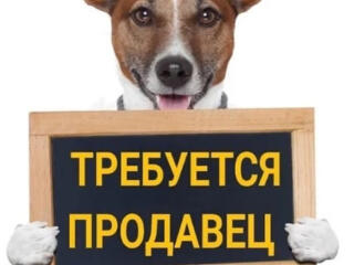 Продавец - консультант в зоомагазин