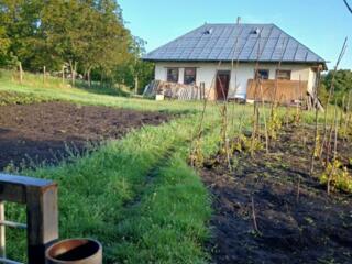 Продам огород с небольшим старым домиком