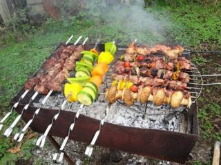 База в лесу Шашлыки на природе закрытая территория чистый воздух 