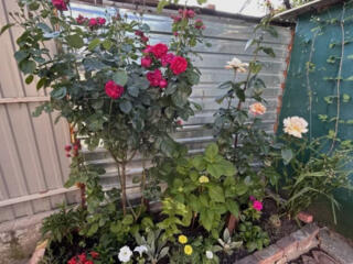 21240 В продаже полдома на Ленпоселке.Общая ...