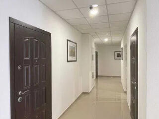 1 комнатная квартира в "Жемчужине" на Краснова