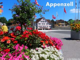 Deutsch&SuperDeutsch - Erfolg in jedem Tempo