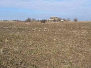 Продается участок 15 соток под жилую застройку в с. Кремидовка в ...