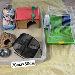 Жилой комплекс для ежей, Хомяков, крыс