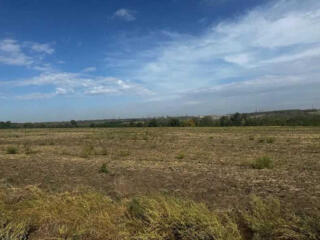 продаж ділянка рекреаційного призначення Дніпро, Новоолександрівка, 48