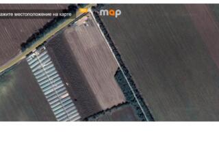Продам сельскохозяйственный участок \ Teren agricol de vânzare