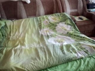 Продается раскладной диван и два раскладных кресла