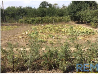 Участок в СУХОМ ЛИМАНЕ