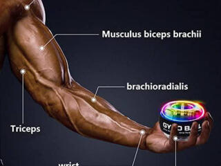 Спортивная одежда