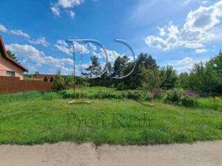 продаж ділянка під житлову забудову Бучанський, Колонщина, 16499 $