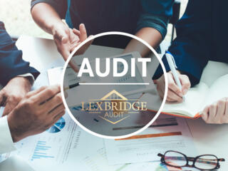 Audit Proiecte I LexBridge