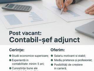 Заместитель главного бухгалтера