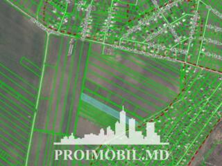 Spre vânzare se oferă teren pentru construcții, situat în Tohatin, ...