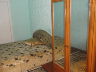 2-кімнатна квартира по вул. Миколи Василенка, 23А. Площа :45/28/7 5 ..