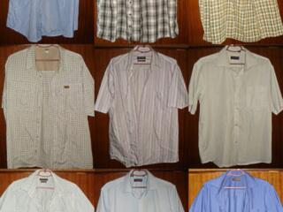 Рубашки с коротким рукавом и длинным рукавом