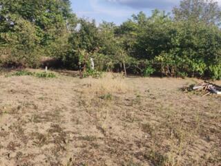 Продам дачу в карьере