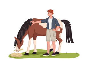 КОНЮХ в конно-спортивный клуб «Спарта» в с. Будешты в 10 км от Кишинев