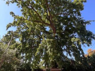 Продам участок 7 соток, 10 Фонтан, Окружная