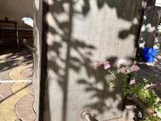 Продам бочки из н/ж