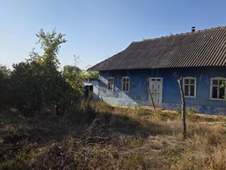 Дом в селе Спея, Григориопольский район