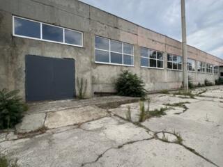 Капитальные склады, боксы на Ватной Фабрике