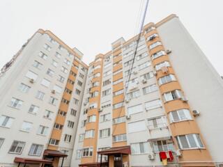 2-комнатная, Ботаника.